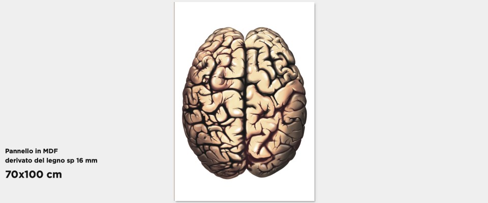 Quadro Brain pronto online