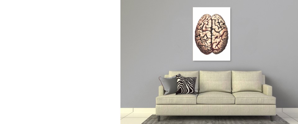 Quadro Brain stampato online