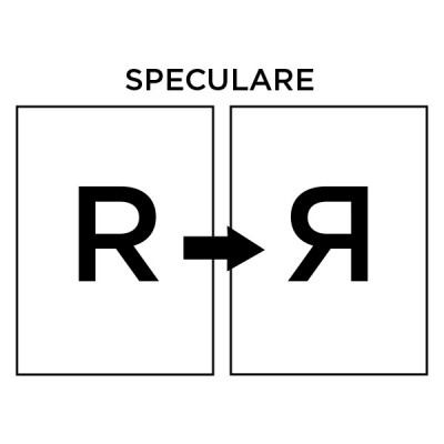 immagine opzione