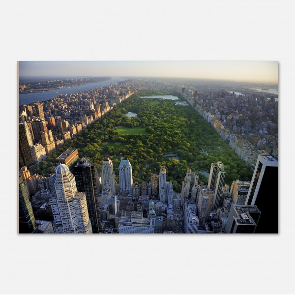 Online Quadro Manhattan Central Park