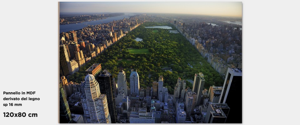 Stampa Quadro Manhattan Central Park