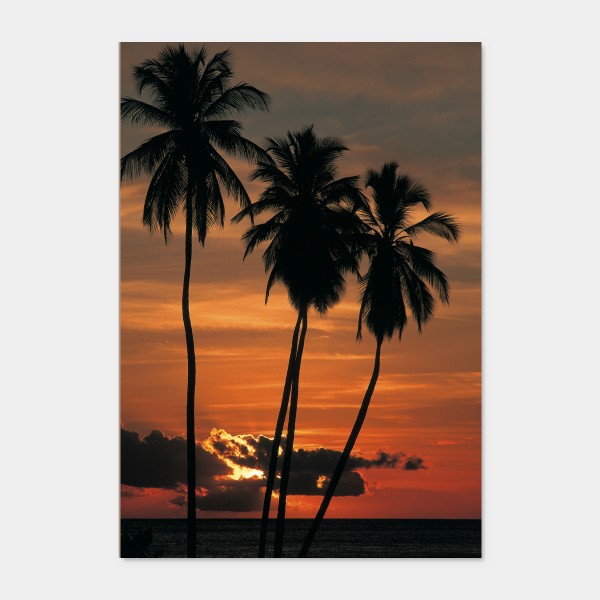 Stampa Quadro Tropical sunset