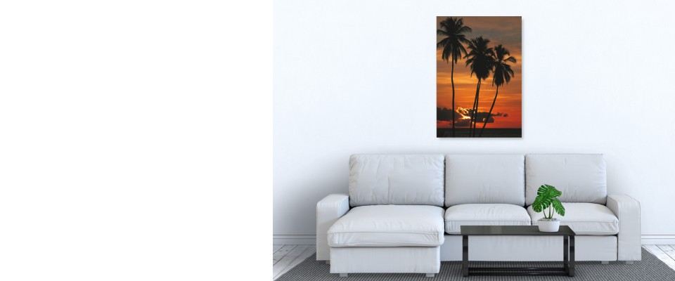 Online Quadro Tropical sunset