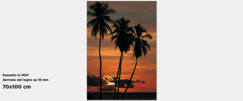 Quadro Tropical sunset