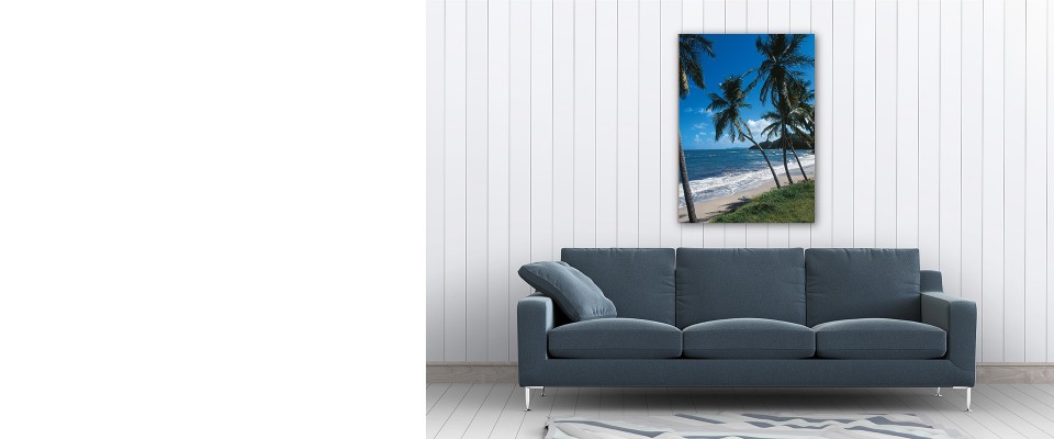 Online Quadro Tropical Palms